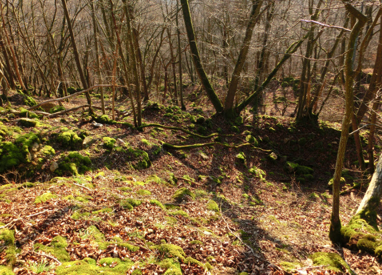 Burgruine Hopfach, Wolpertshausen, Germany, Germany